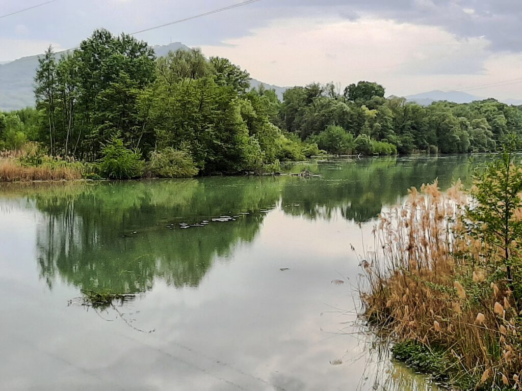 Hai già visitato l'Oasi WWF di Serranella con Tartarughe, Aironi, Cicogne e Fenicotteri?