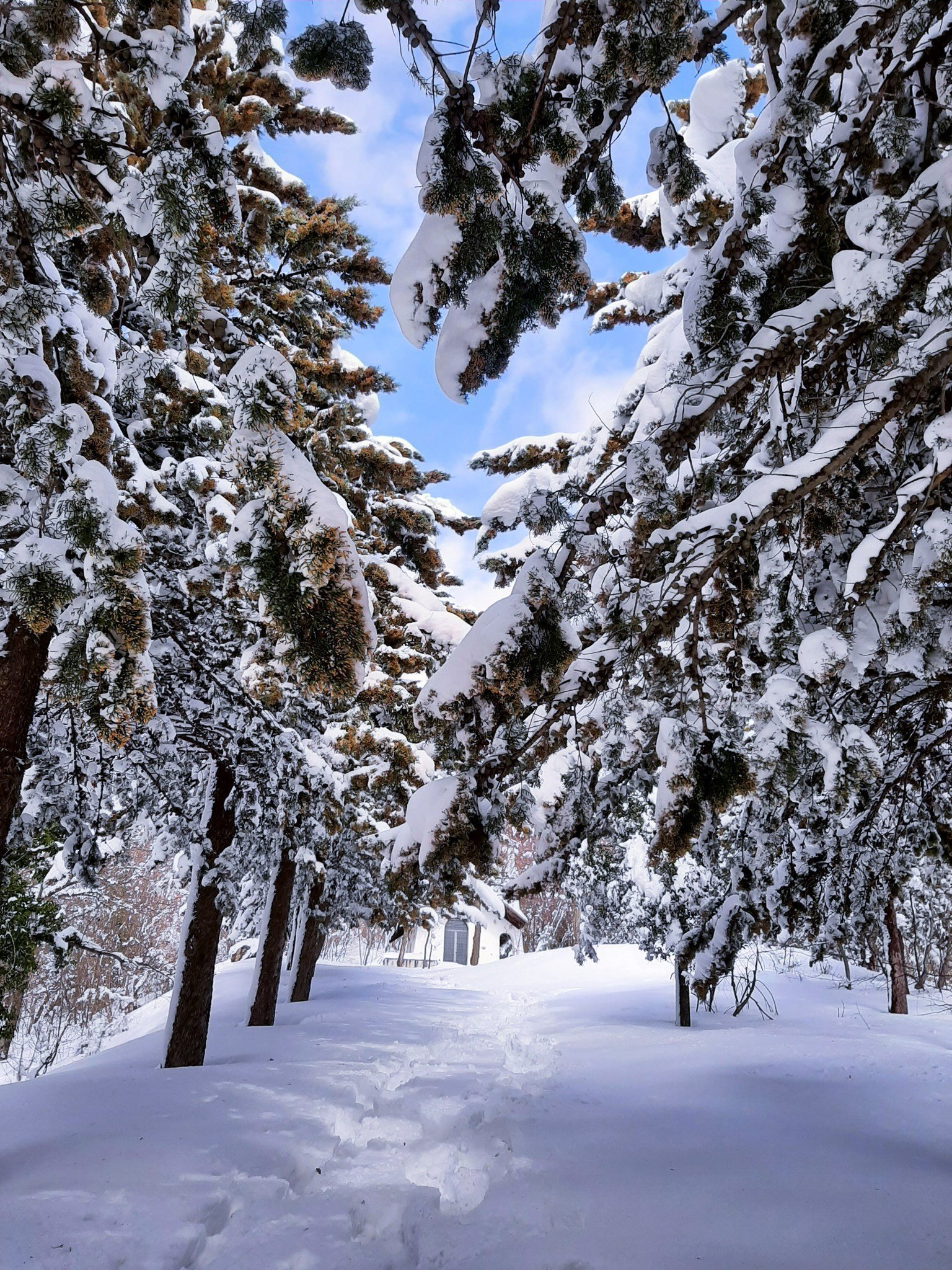 Hai già visitato la Chiesetta nella neve sul Monte Pallano 