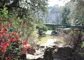 Quanto costa l'ingresso al Giardino Giapponese a Roma? È necessario prenotare?