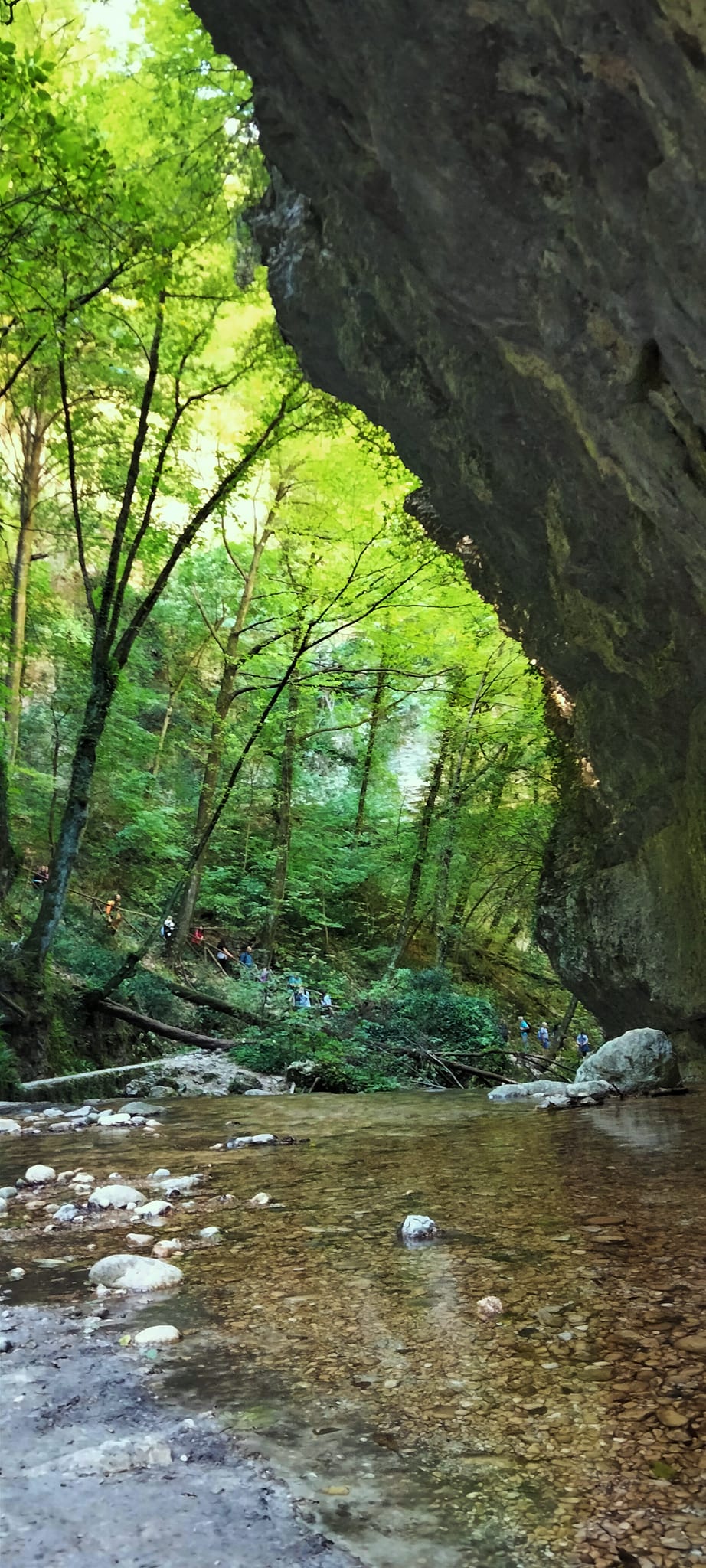 Valle orfento