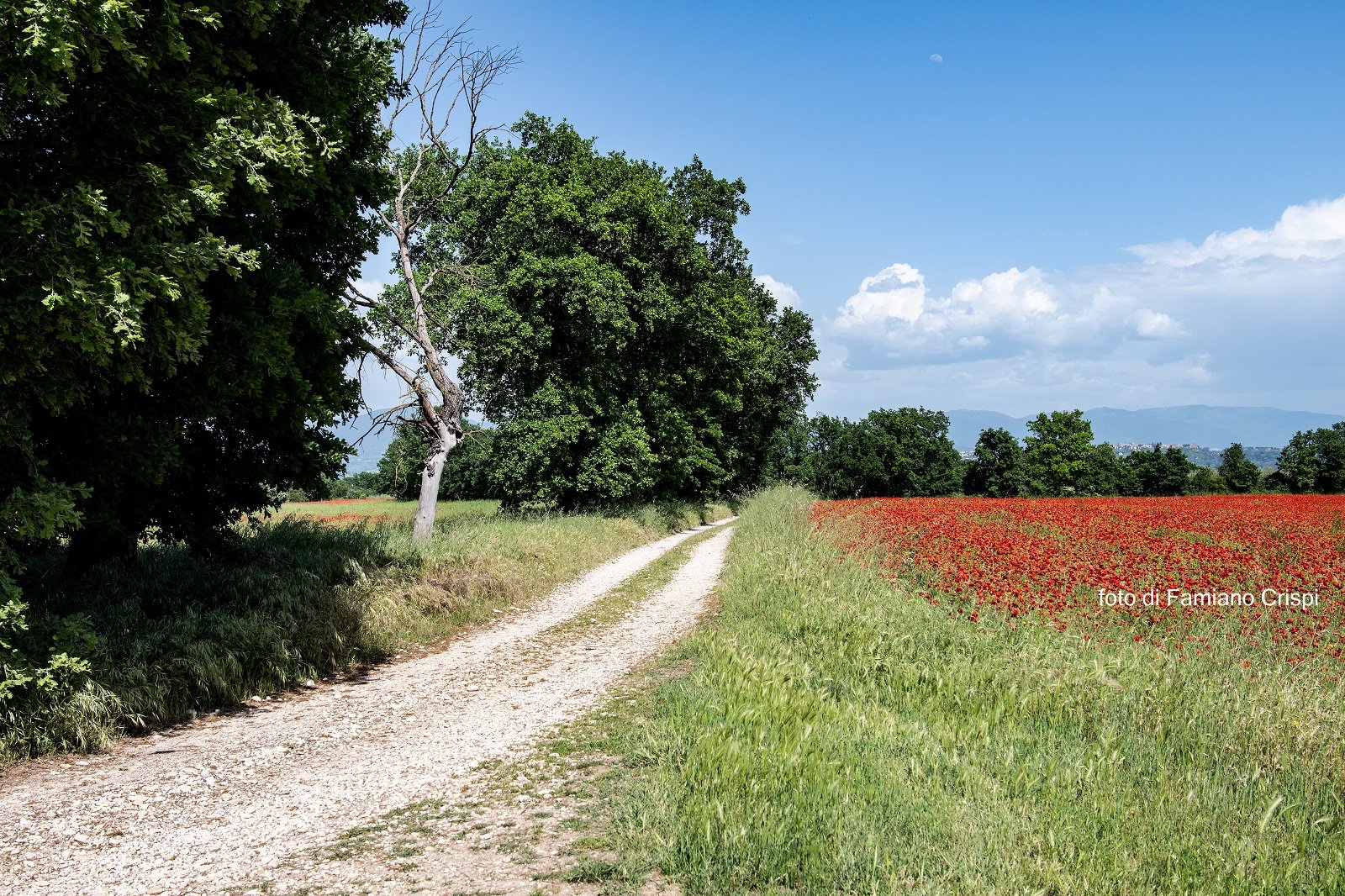 Gallese (VT), giro della Civetta