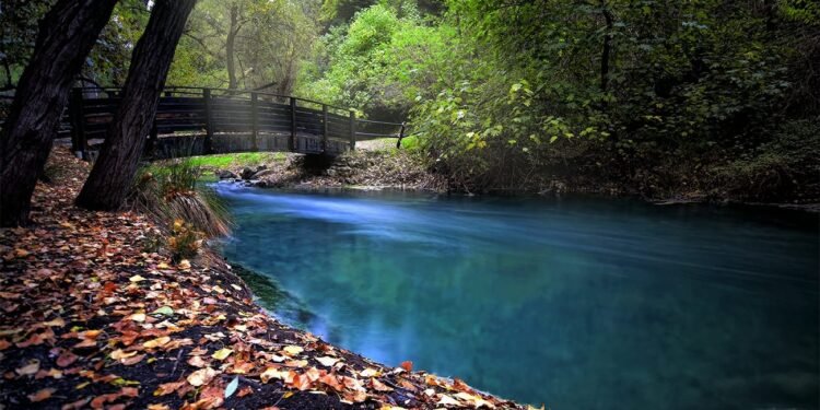 Sorgenti del fiume Lavino a Scafa (PE)