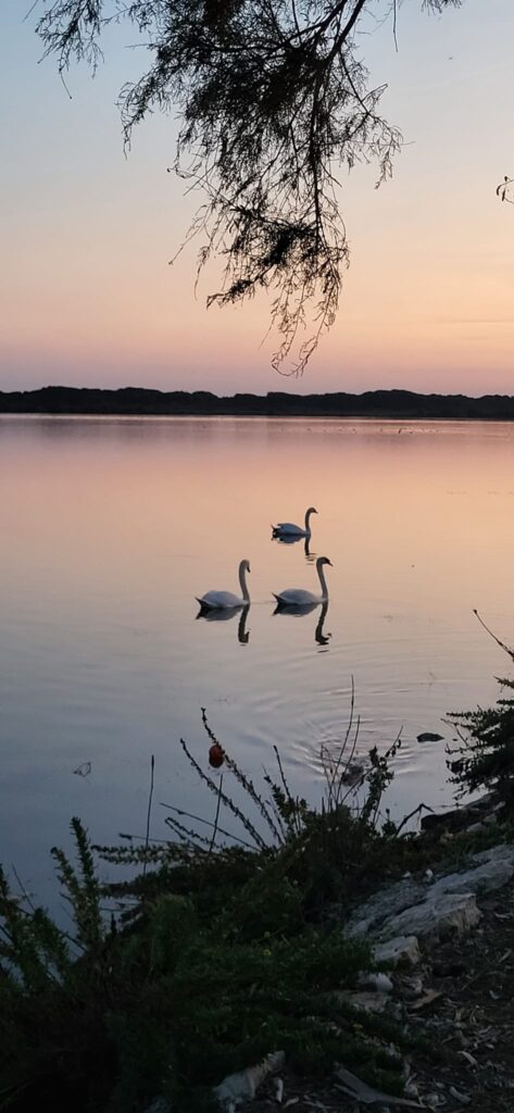 Parco Villa Fogliano a Latina