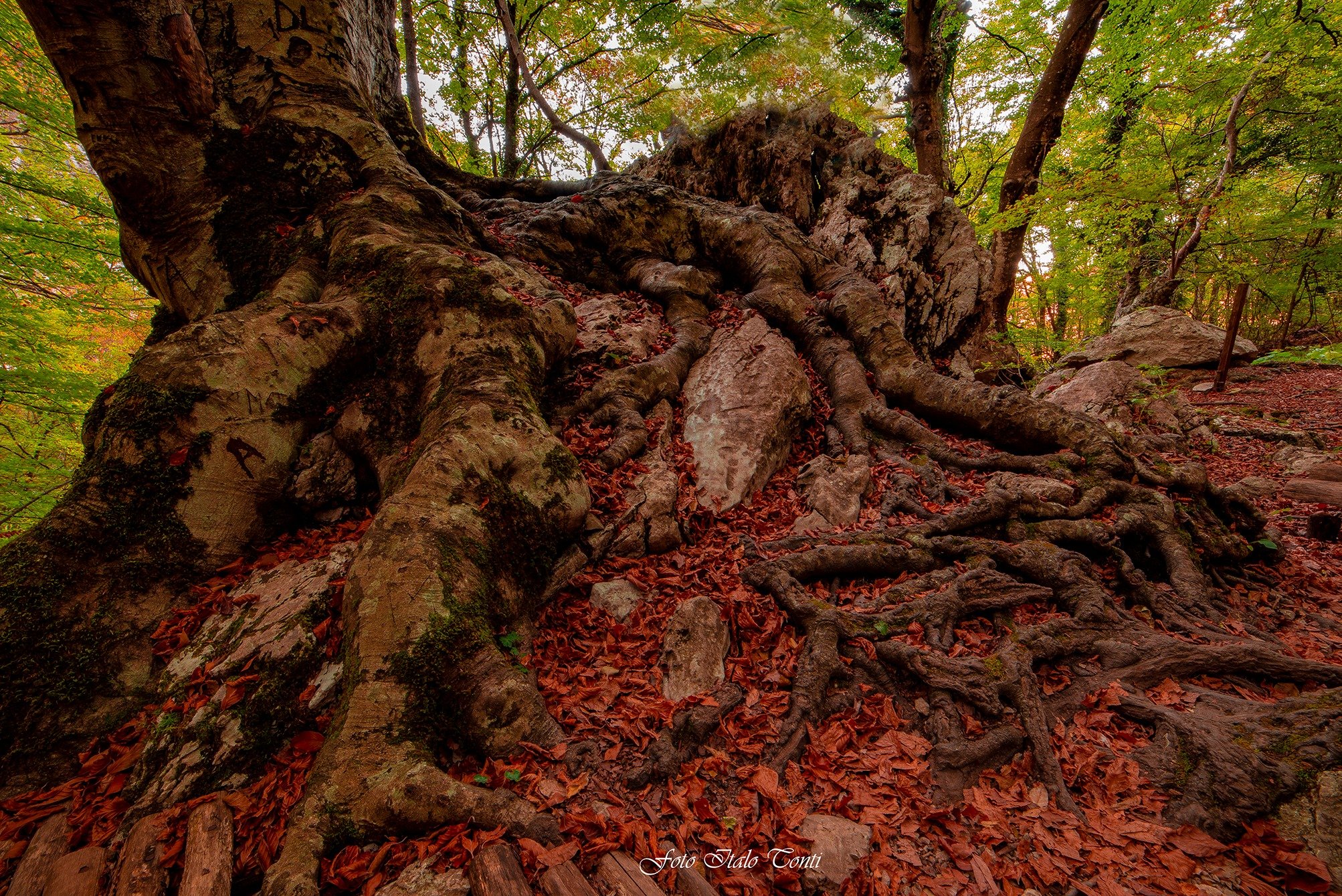 Riserva Naturale Zompo lo Schioppo Morino AQ