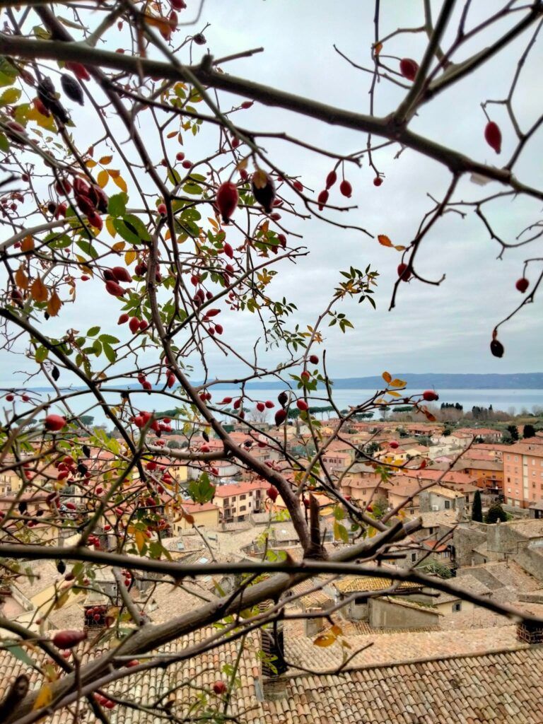 Bolsena