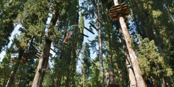 parco avventura vincigliata