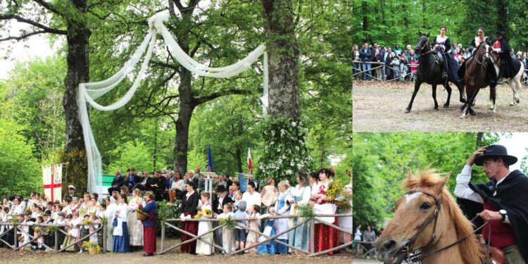 sposalizio dell'albero vetralla