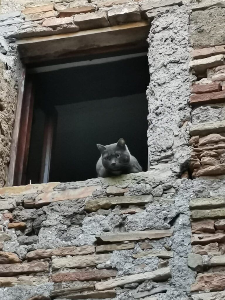 castelnuovo di porto roma