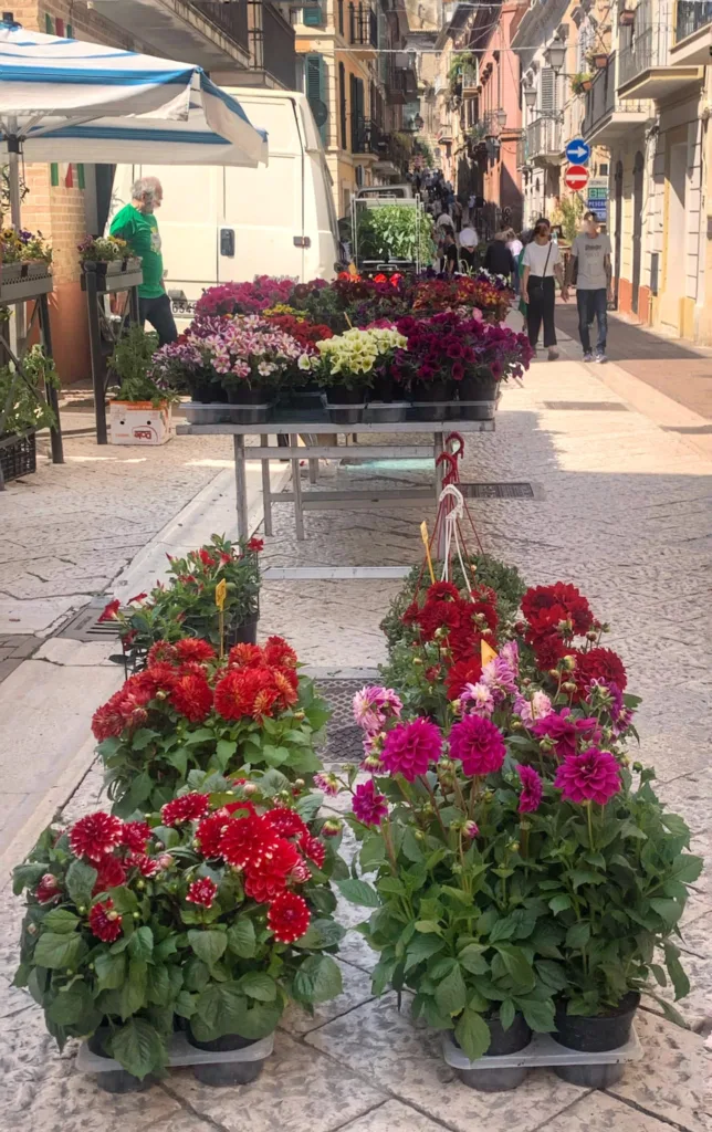 festa dei fiori e delle piante a Città Sant'Angelo