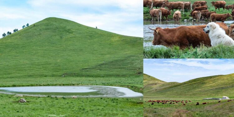 Campo Imperatore