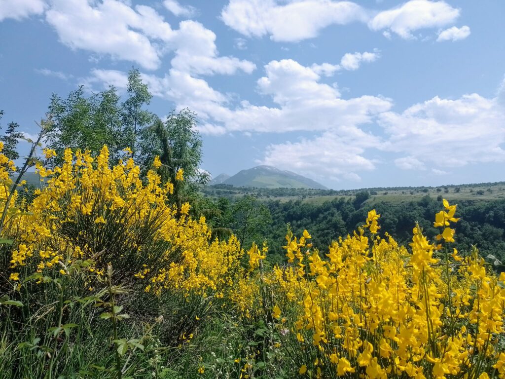 vacanza in abruzzo