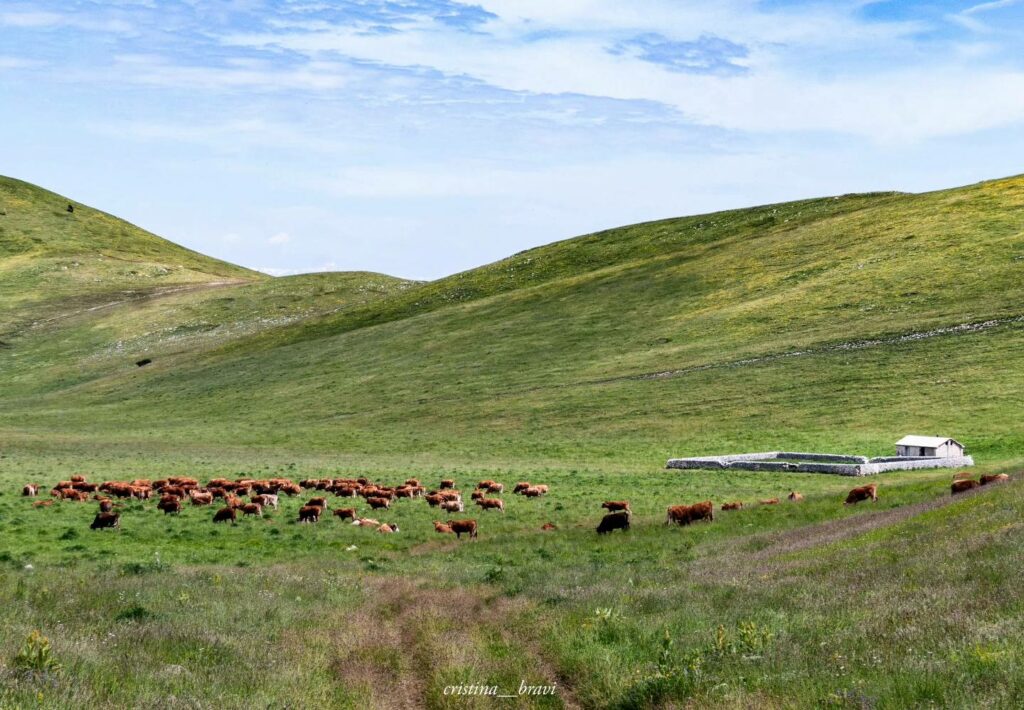 Campo Imperatore