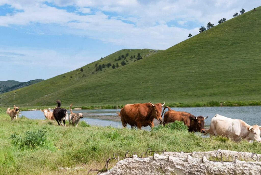 Campo Imperatore