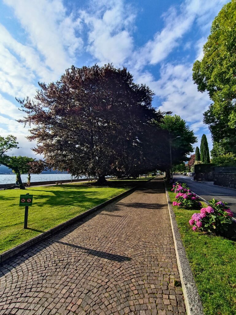 menaggio lago di como foto di Italian Language Vacations in Bergamo and Lake Como 9