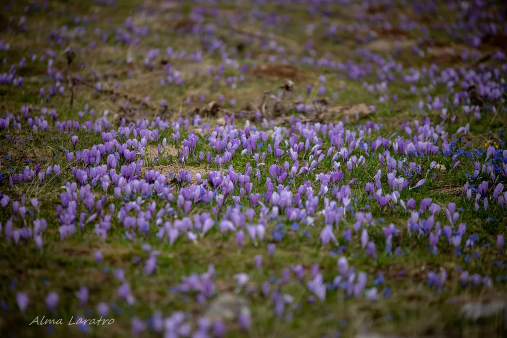 piana di campo imperatore