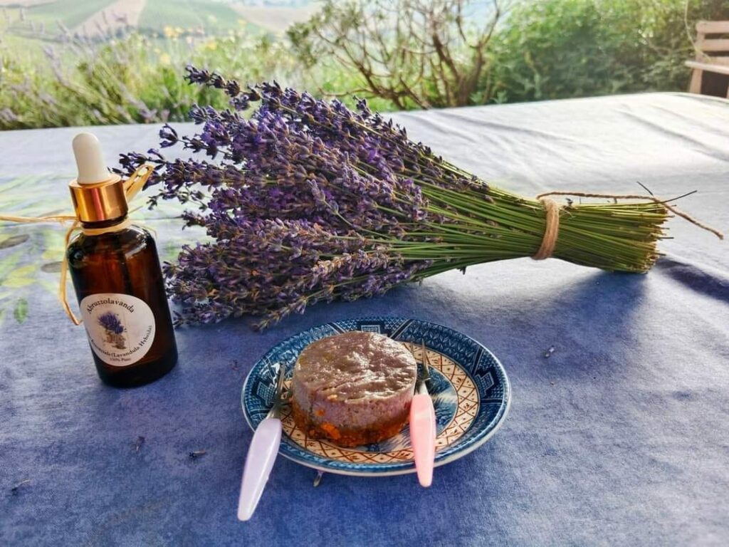 pollutri campi di lavanda