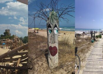 Turisti raccontano. Torre del Cerrano e la spiaggia di Pineto: una giornata nella natura