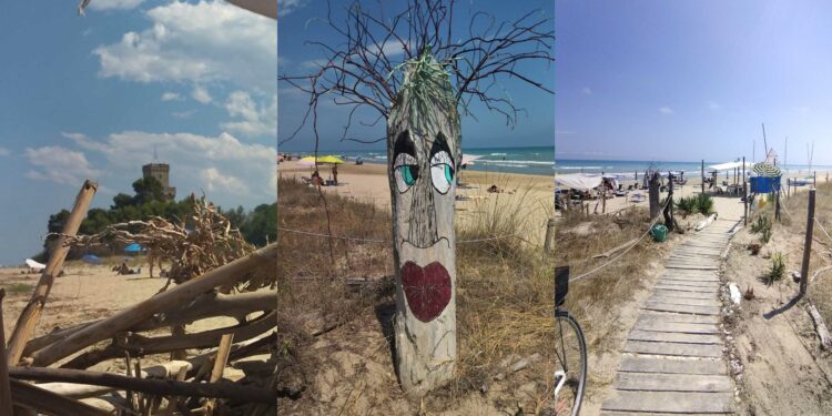 Turisti raccontano. Torre del Cerrano e la spiaggia di Pineto: una giornata nella natura