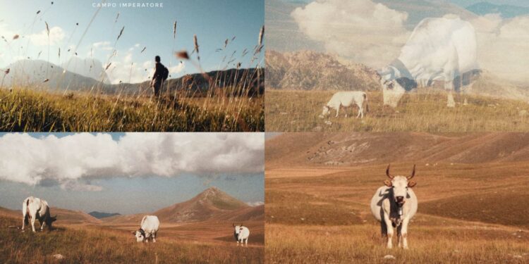 Piana di Campo Imperatore