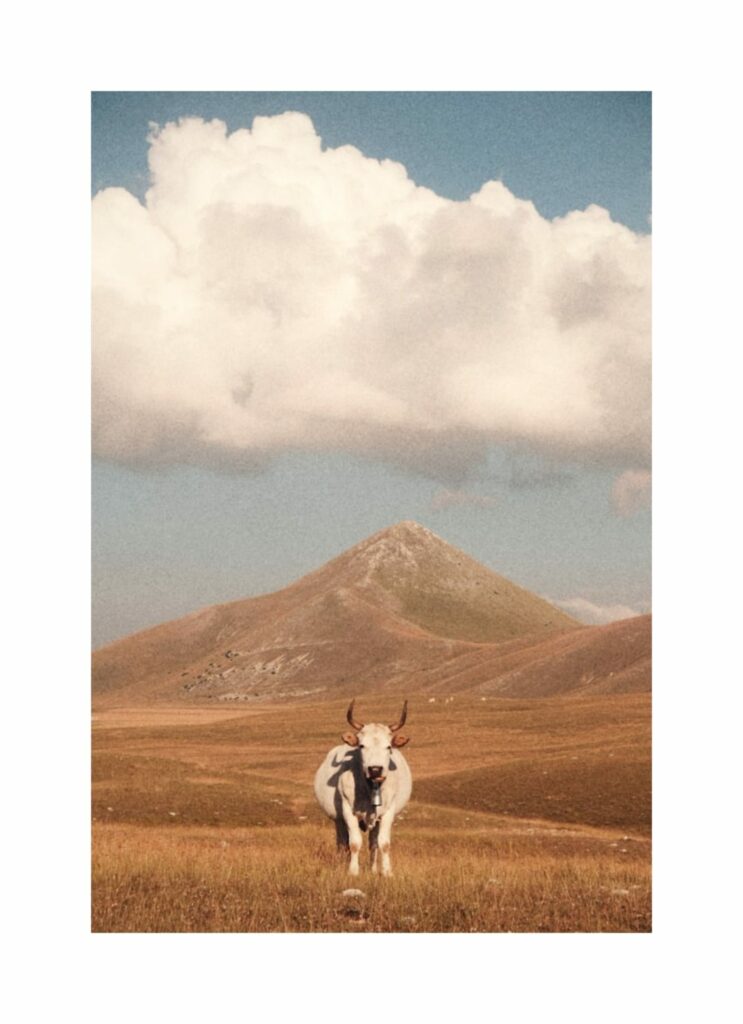 Piana di Campo Imperatore