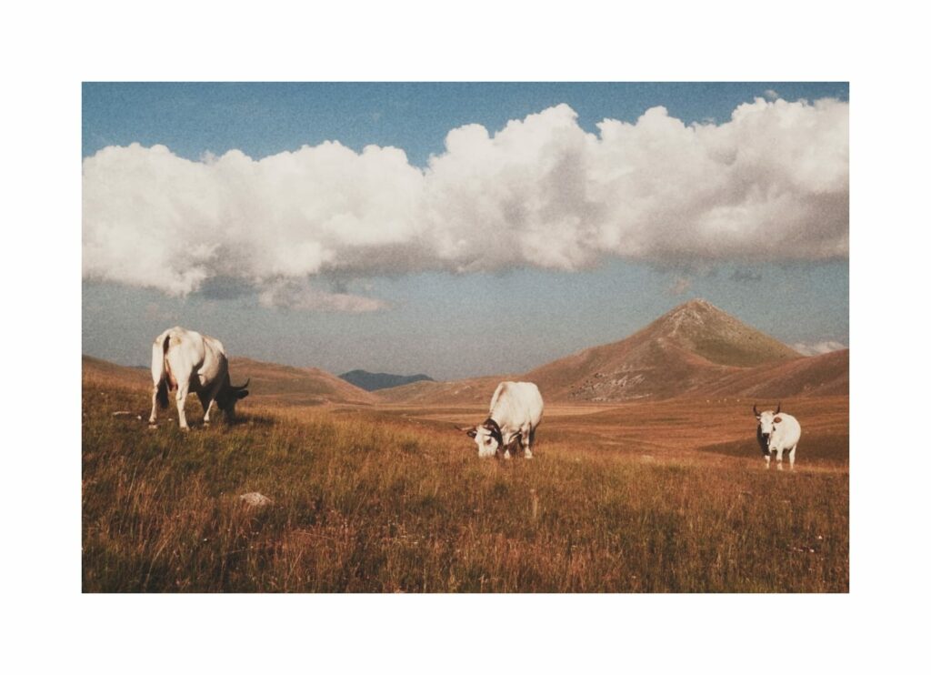 Piana di Campo Imperatore