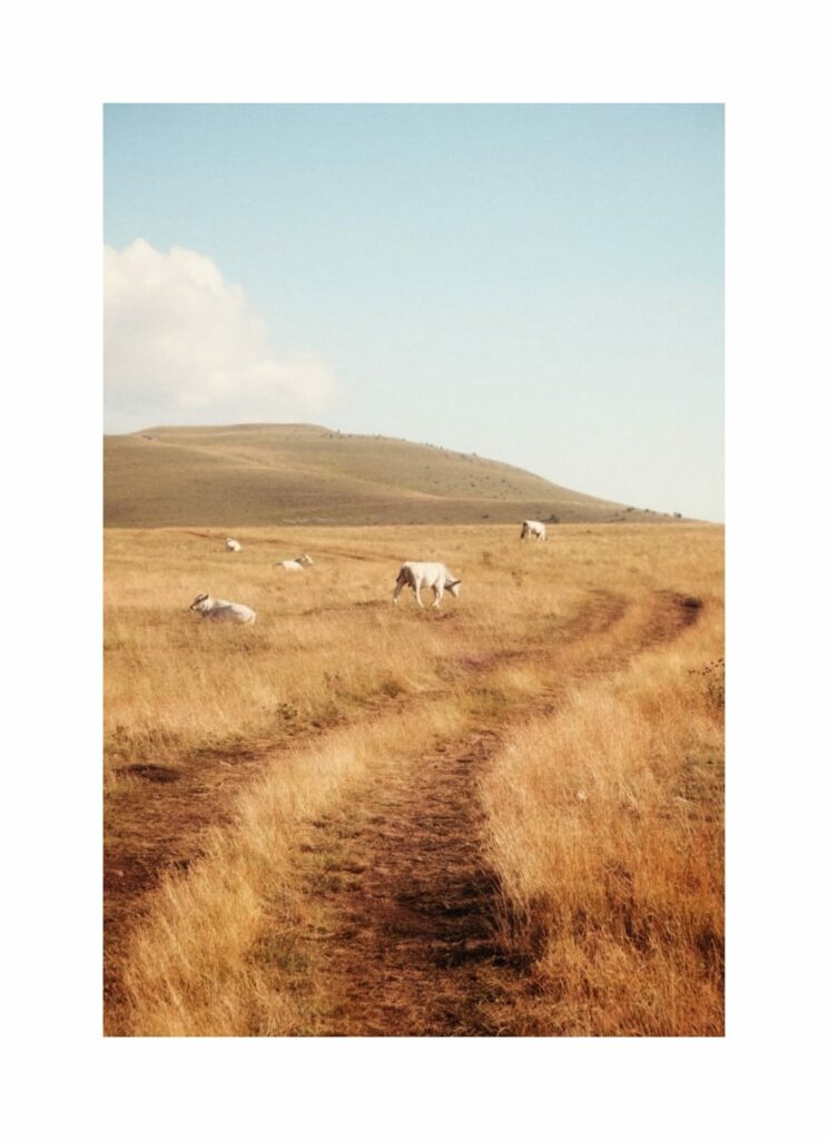 Piana di Campo Imperatore