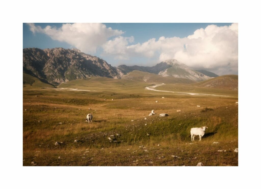 Piana di Campo Imperatore