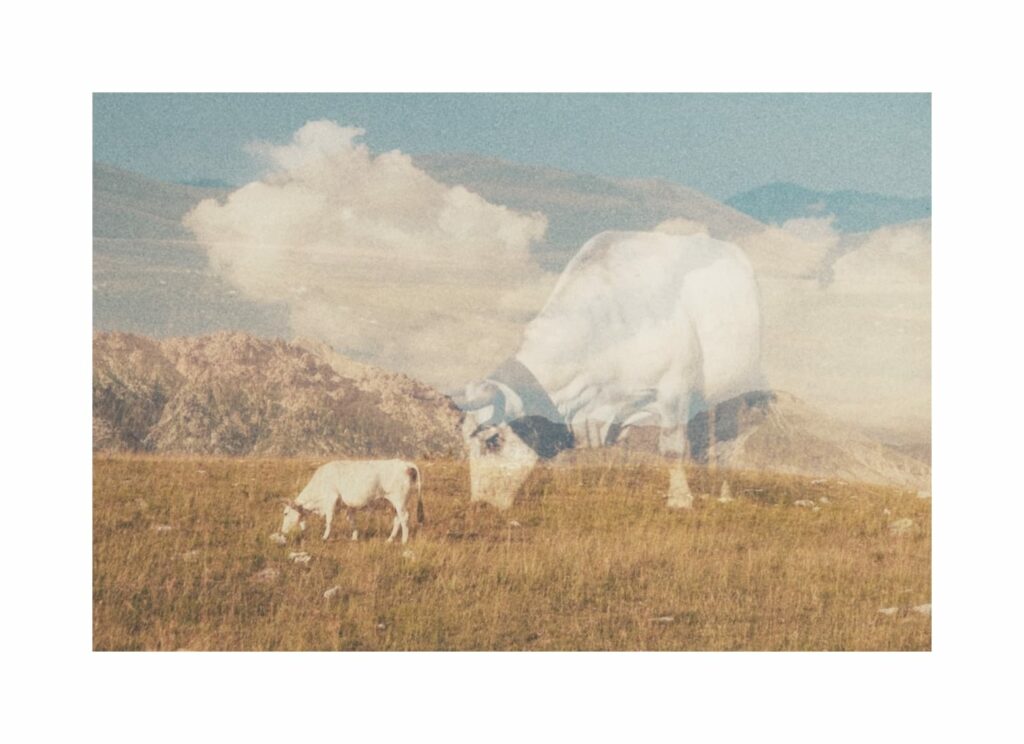 Piana di Campo Imperatore