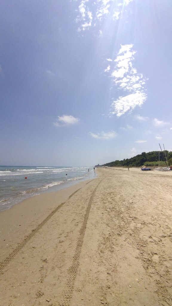 torre di cerrano spiaggia pineto