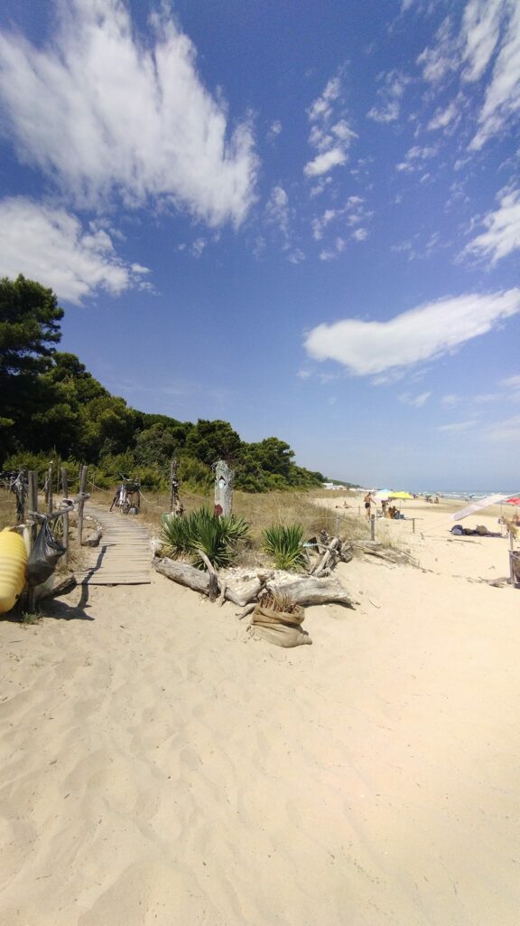 torre di cerrano spiaggia pineto