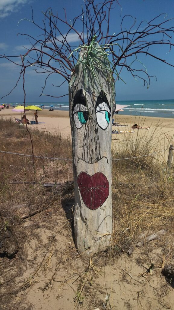 torre di cerrano spiaggia pineto