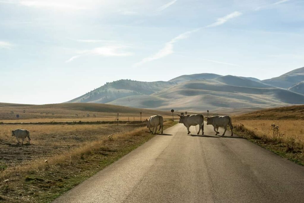 Campo Imperatore