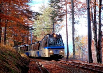 treno foliage