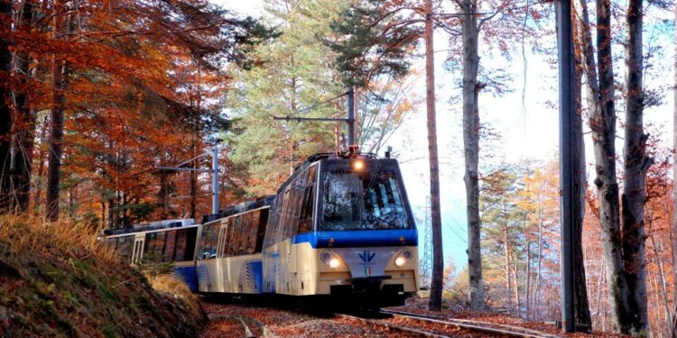 treno foliage