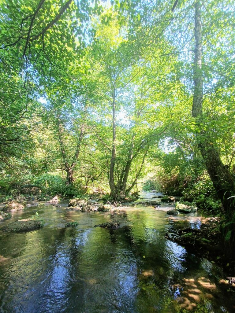 valle del treja 