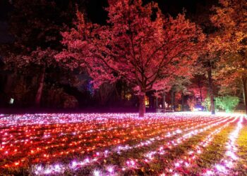 trame di luci orto botanico roma