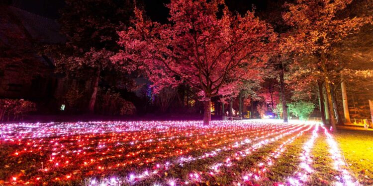 trame di luci orto botanico roma