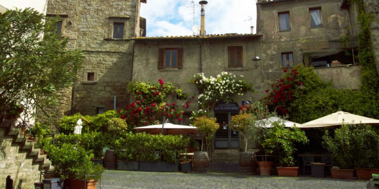 quartiere San Pellegrino a Viterbo