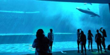 Acquario di Genova