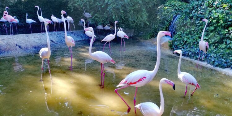 Giardino Zoologico di Pistoia