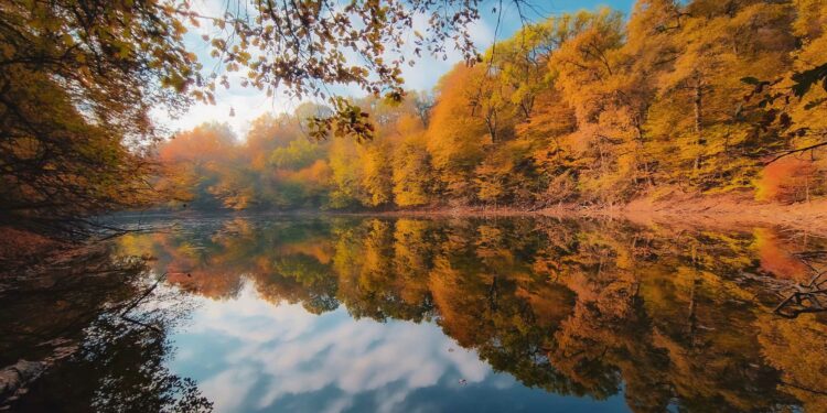 Parco naturale regionale Boschi di Carrega