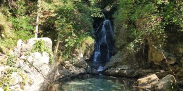 Cascata delle libellule blu