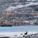 lago di barrea inverno cervo