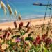 spiaggia di punta penna