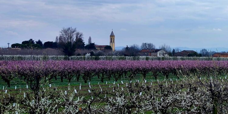 paesaggi emilia romagna