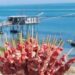 trabocchi arrosticini