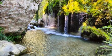 Oasi Cascate Capelli Di Venere