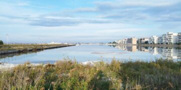 Riserva naturale Salina di Margherita di Savoia