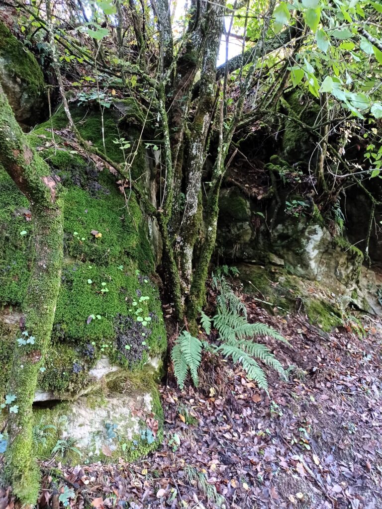 Parco delle Cascate di Chia