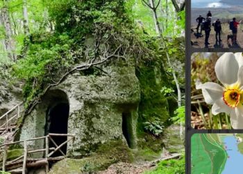 Riserva Naturale del Lago di Vico il Monte Fogliano e la sua faggeta